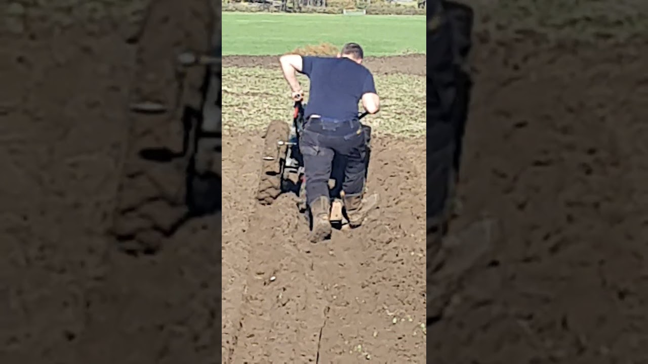 Trusty Petrol Pedestrian Tractor Plough BDVPS Ploughing Match Sandford St. Martins 2nd November 2025