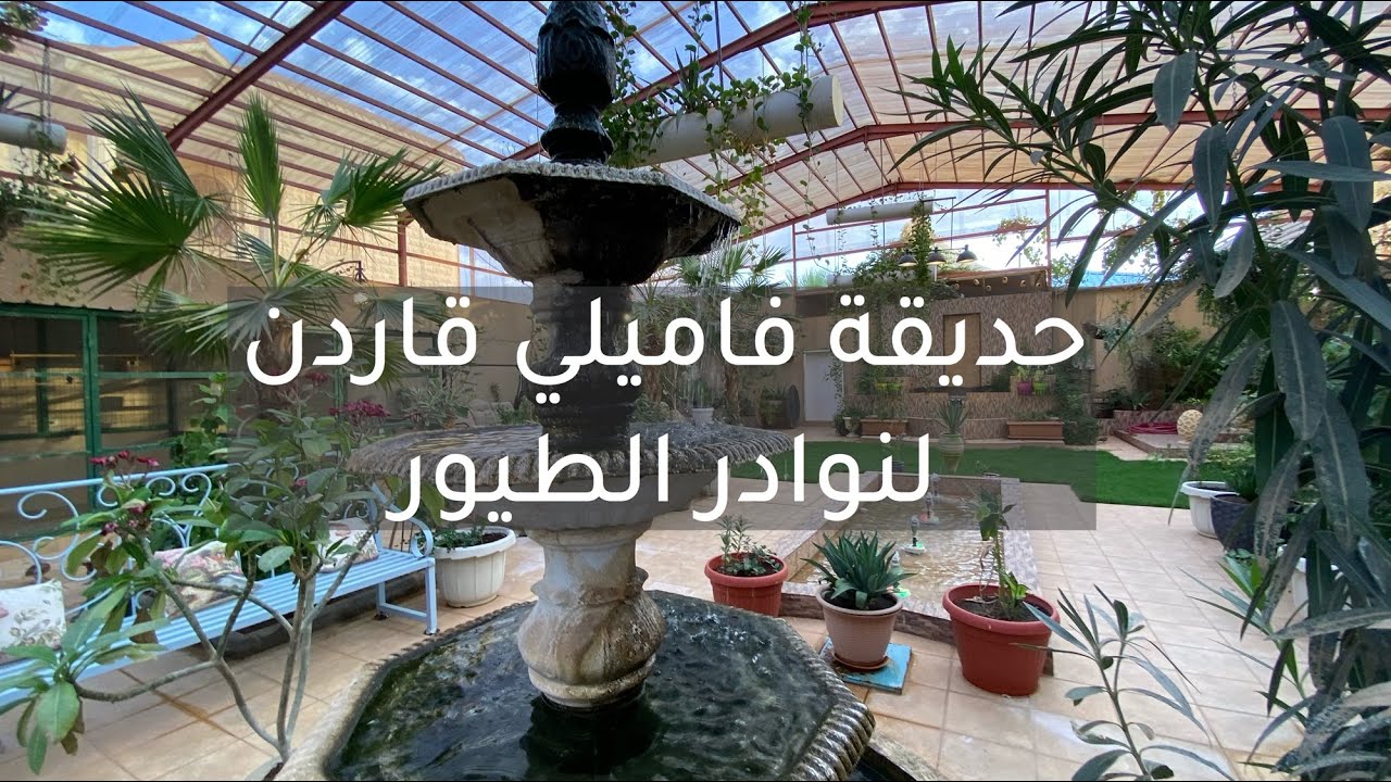حديقة  | فاميلي قاردن  | لنوادر الطيور حول العالم