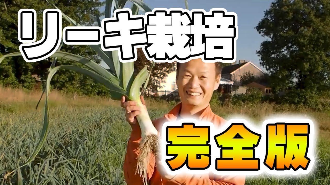 【38】これで完ぺき！！リーキ栽培法完全版！！