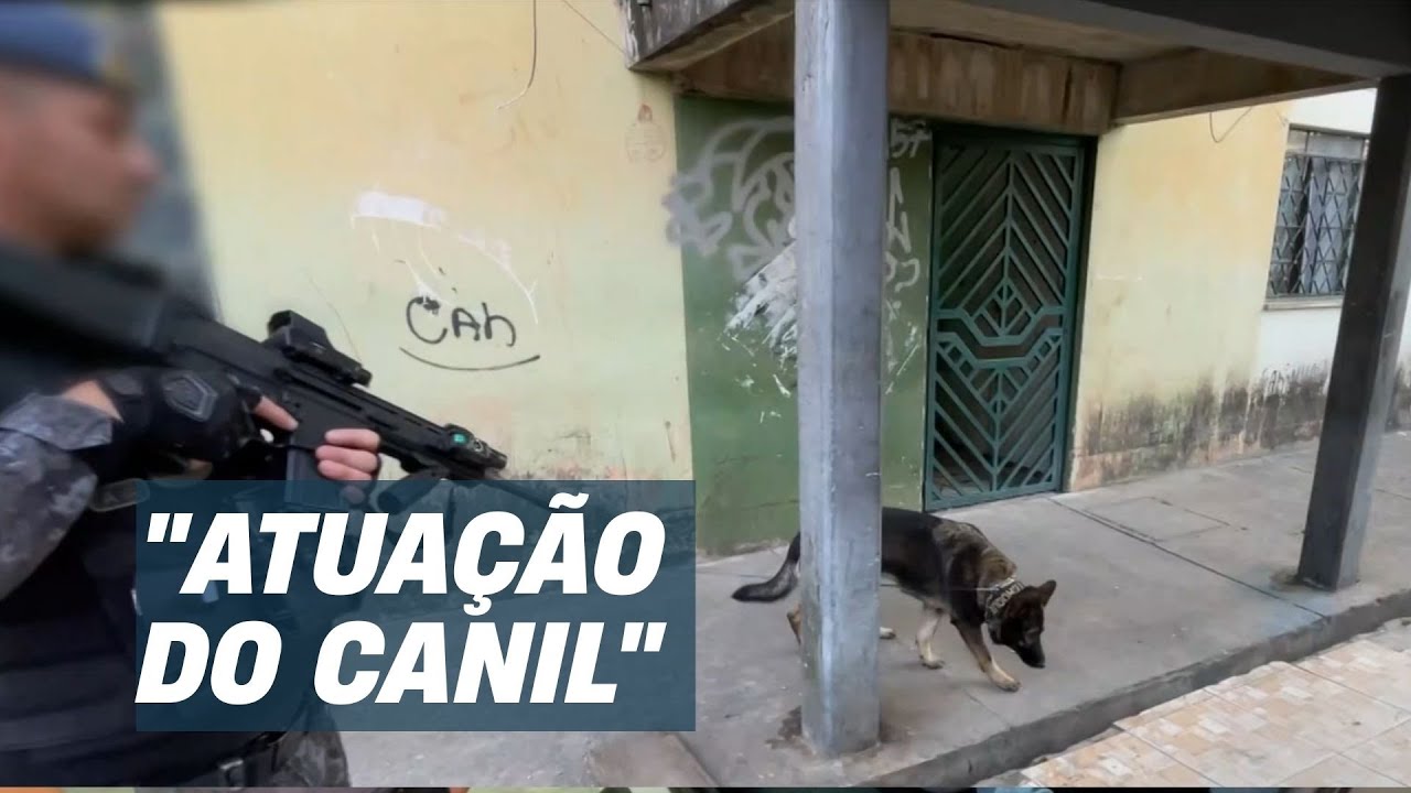 Cão farejador encontra 