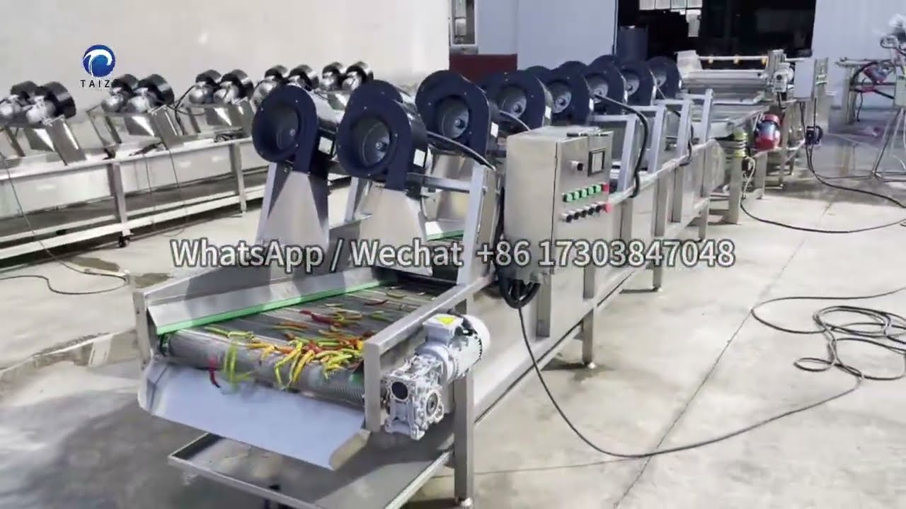 Bell Pepper Washing Sweet Pepper Processing Line | Green Pepper Washing Line