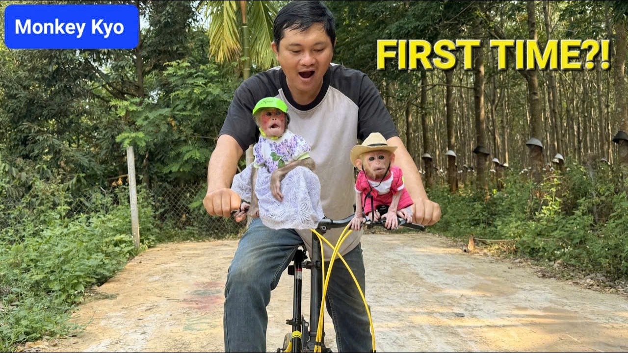 Dad Bought a Bicycle&hellip; Kyo & BuNa Couldn&rsquo;t Believe It! 😲