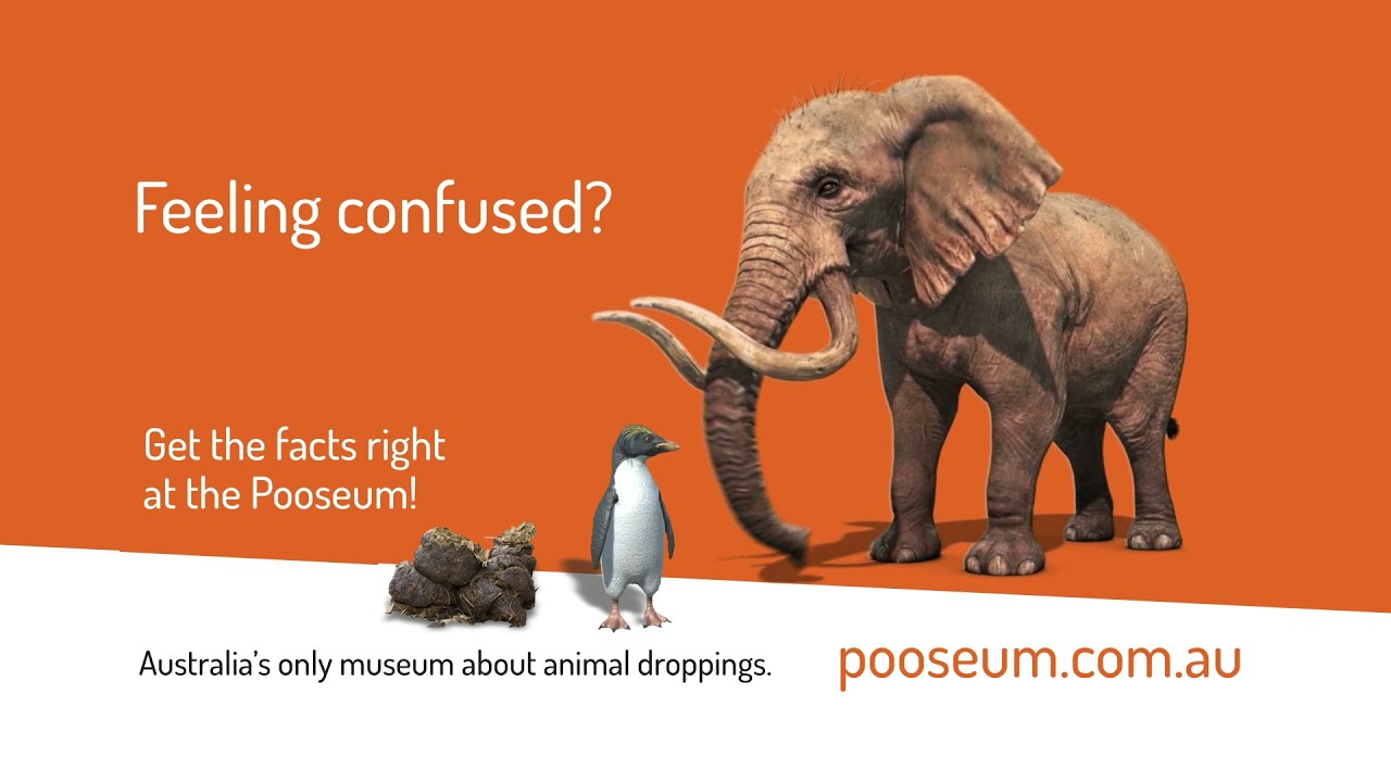 The Pooseum is the only science museum dedicated entirely to animal poo!