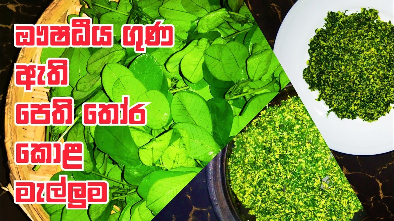 පෙති තෝර කොළ මැල්ලුම | pethi thora kola malluma