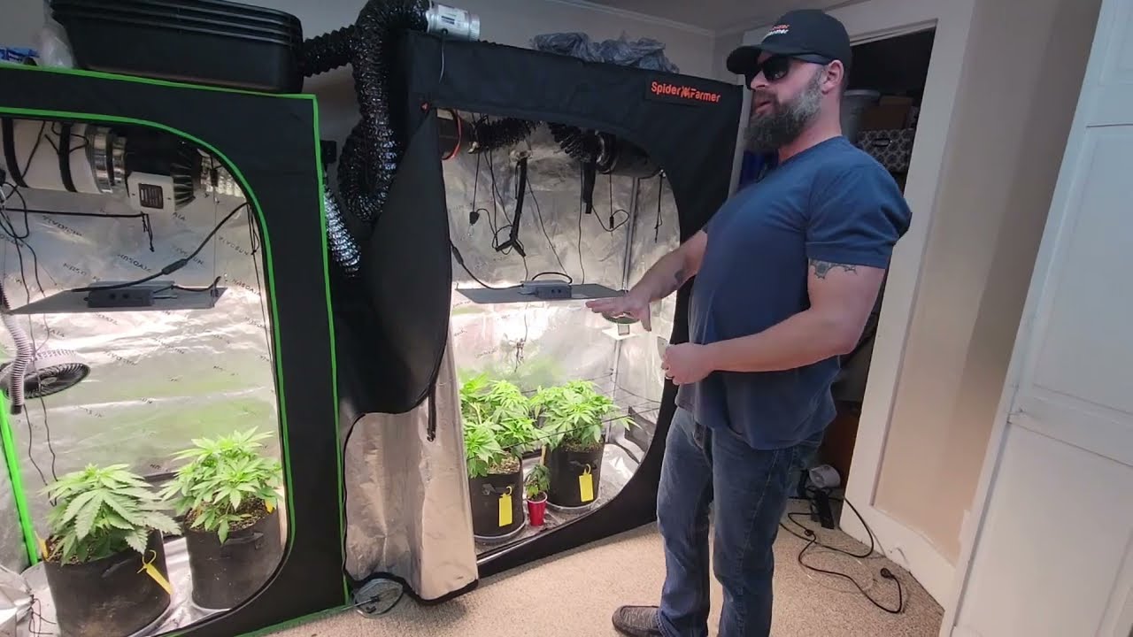 G13 Genetics Week 5