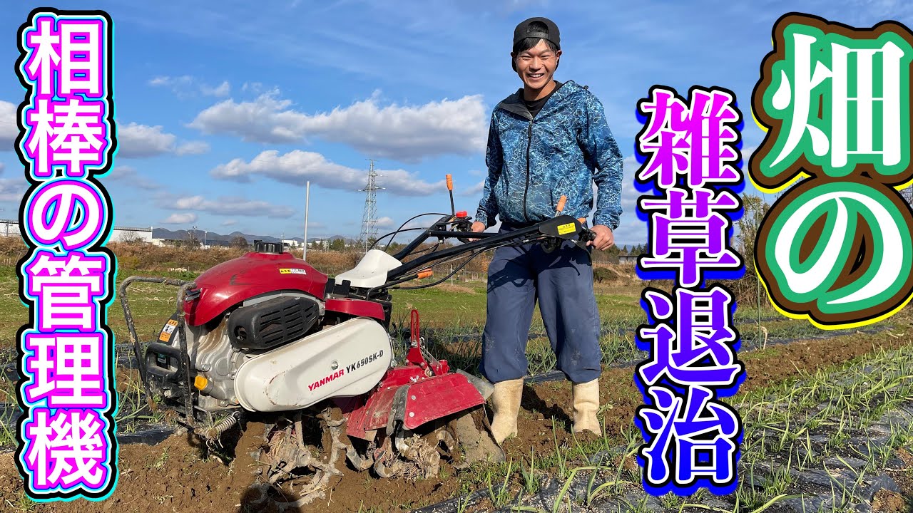 畑の雑草退治！相棒の管理機を使って除草作業