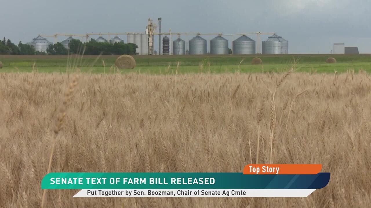 Senate Farm Bill 2.0 Released: What it Means for Farmers, What Was Left Out