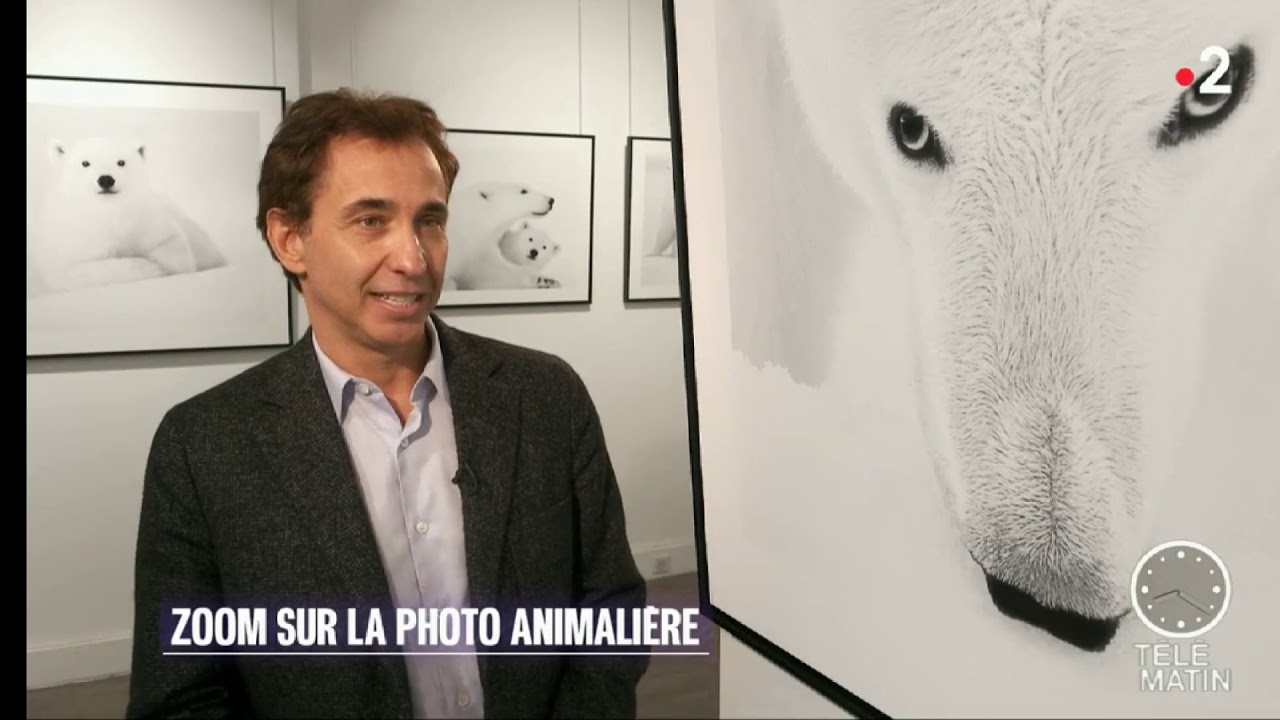 Kyriakos Kaziras Tele matin France 2 20191213
