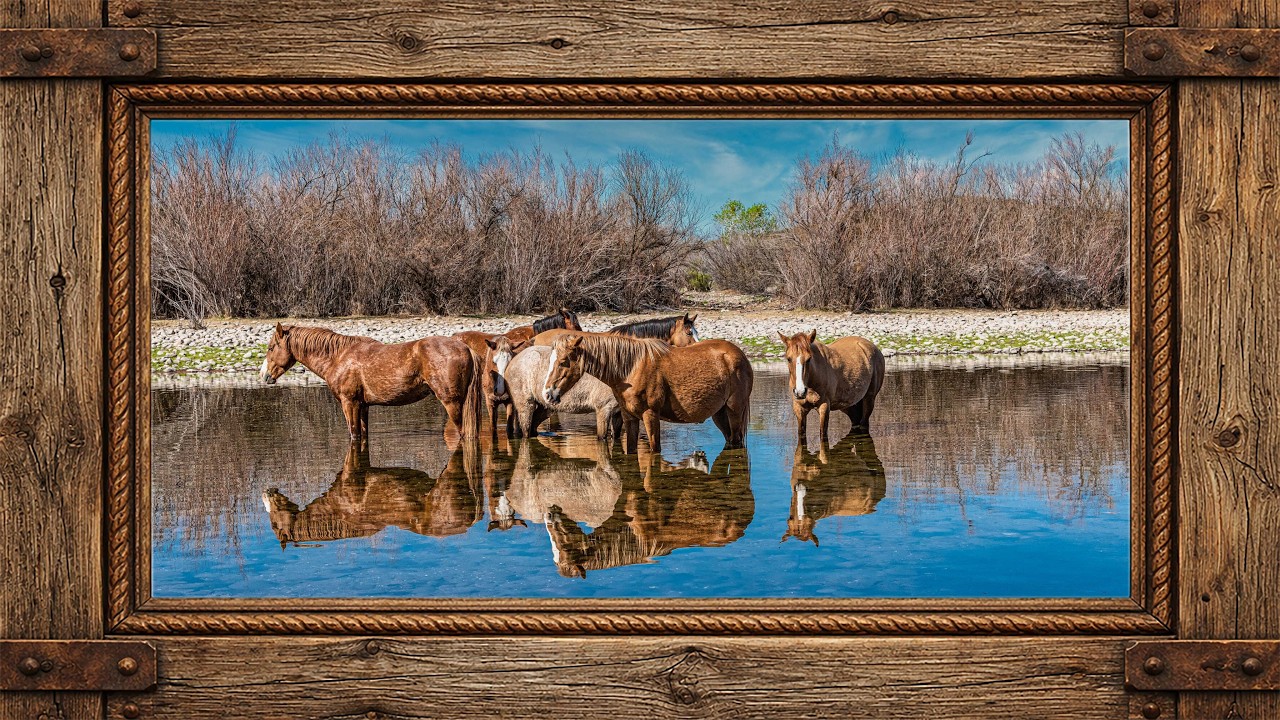Wild Mustangs framed TV Art