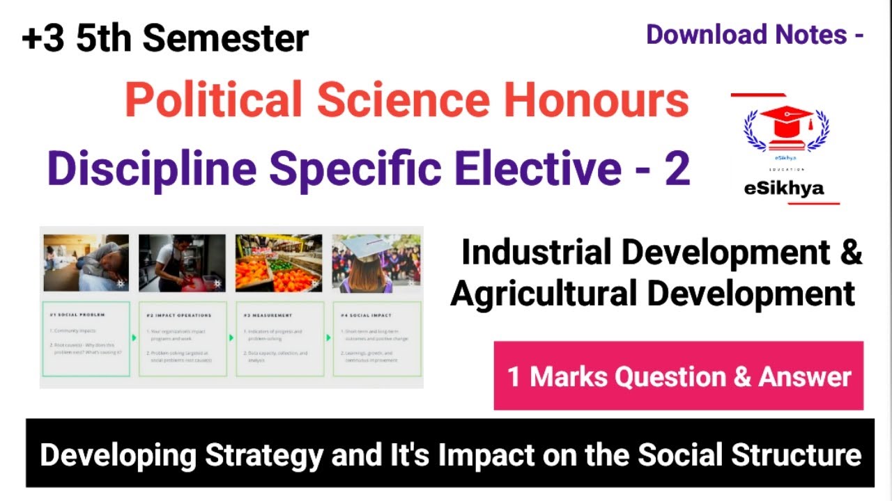 +3 5th Semester | Pol.Sci.Honours (DSE 2) Developing Strategy & It's Impact on the Social Structure