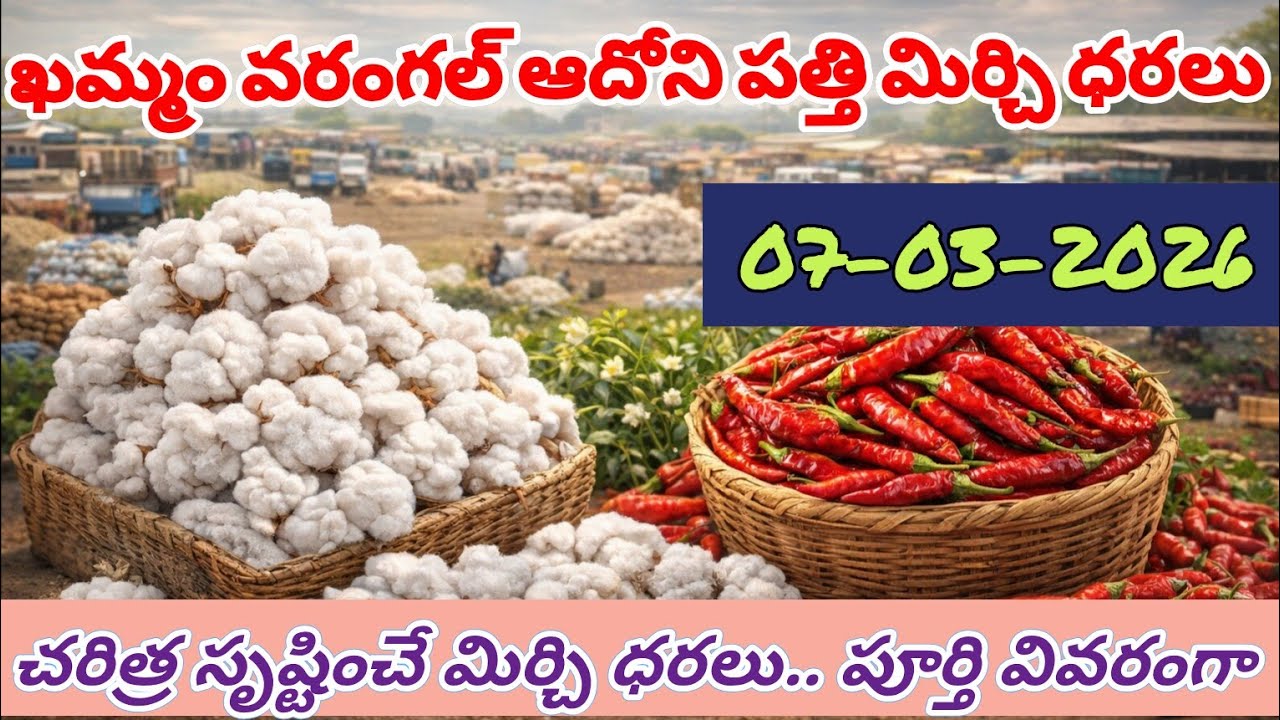 07-03-2026 ఖమ్మం వరంగల్ అధోని పత్తి మిర్చి ధరలు Khammam  warangal cotton mirchi prices #warangal
