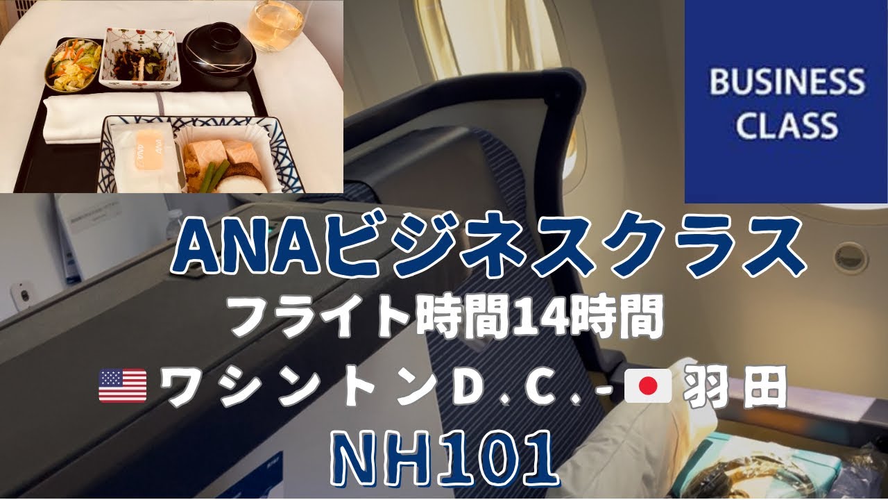 ANA国際線ビジネスクラス14時間フライト快適🇺🇸アメリカワシントンDCダレス空港(IAD)ー🇯🇵羽田ポラリスラウンジ激混みターキッシュラウンジ