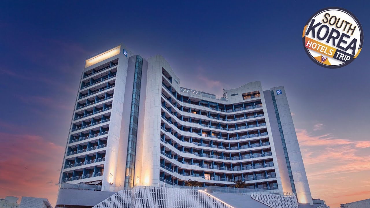 SL Hotel Gangneung | Gangneung-si, South Korea | Hotel Review 🌟