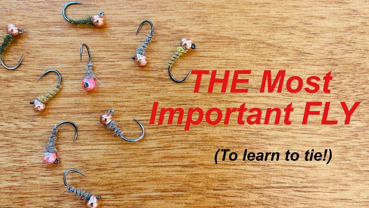 BEGINNER Fly Tying-THE Most Important Fly to learn: The Walt’s Worm