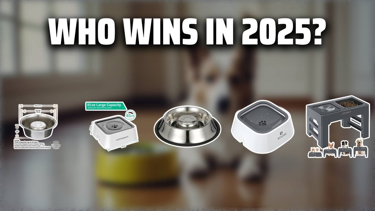 The Top 5 Best Slow Water Bowls in 2025 - Must Watch Before Buying!