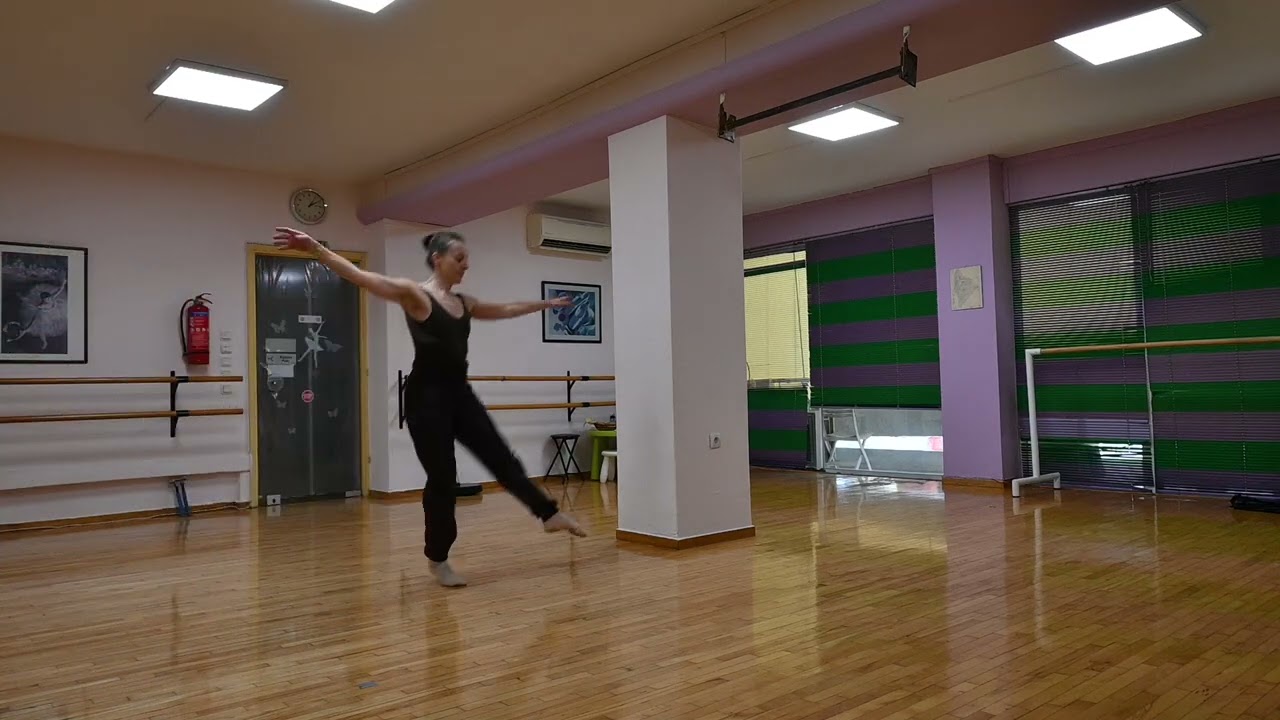 ALLEGRO 3 Discovering Repertoire Level 2