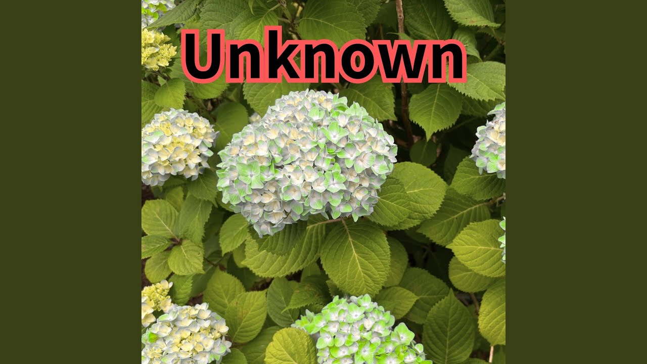Unknown