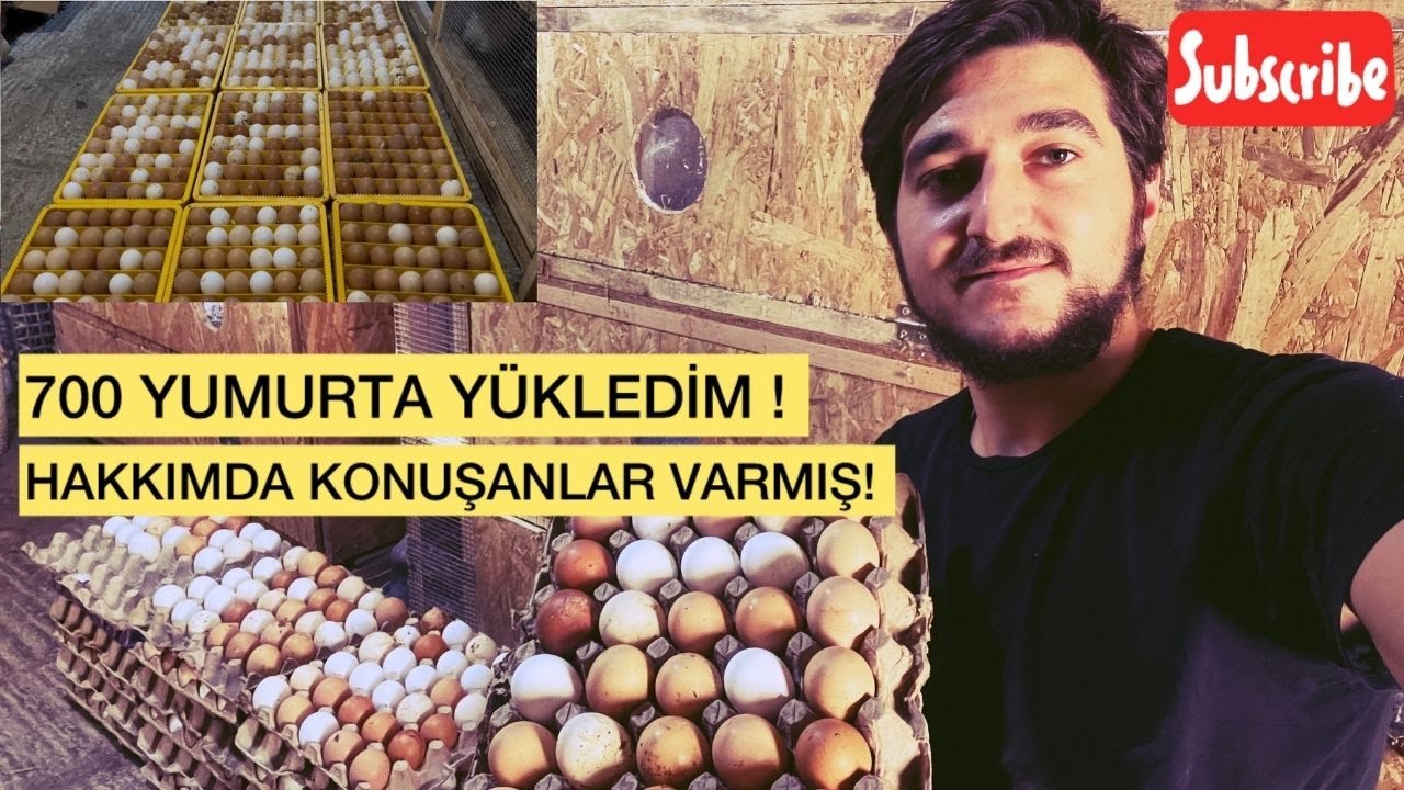 “700 Yumurtayı Makinaya Dizdim! Hakkımda Konuşanlara İlk Kez Cevap Veriyorum!”