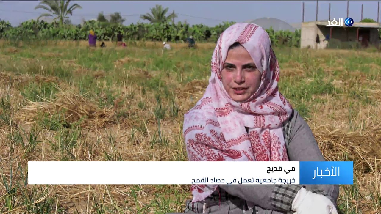 غزة | الفقر والحصار يدفعان النساء للعمل في مهن شاقة لإعالة أسرهن
