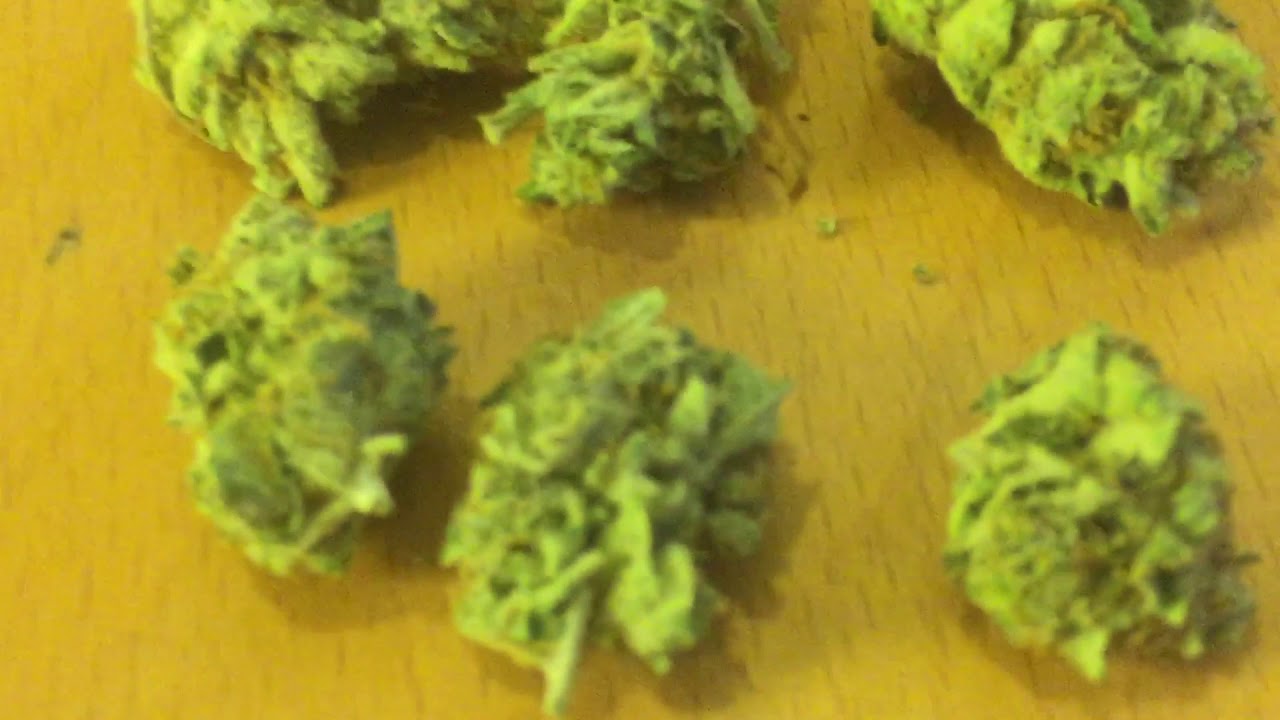 PARADISE SEEDS ICE CREAM HAZE HAPPY 420