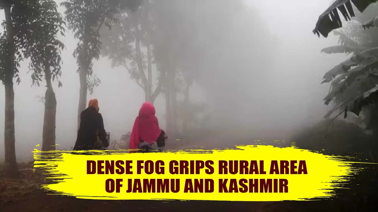 Dense Fog Grips Rural area of Jammu and Kashmir