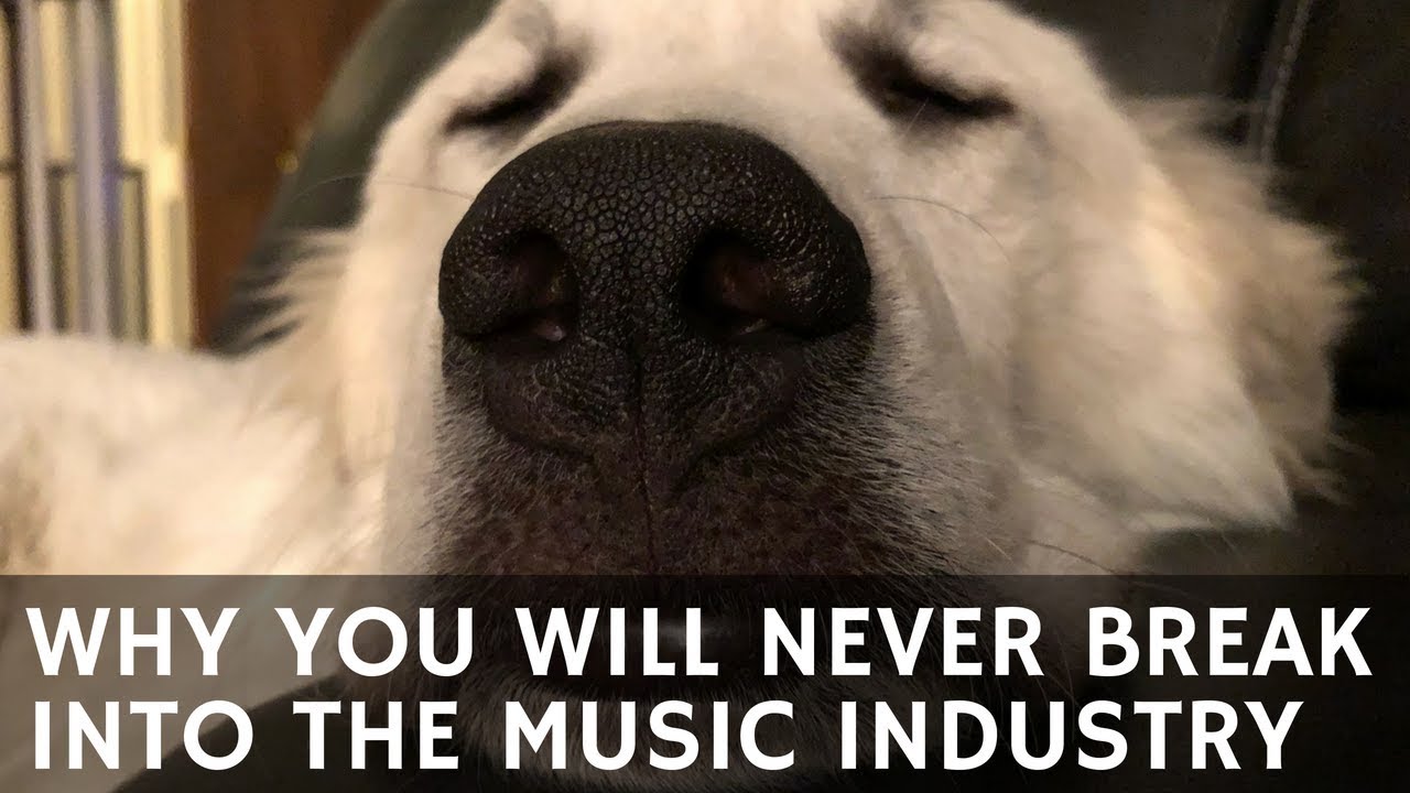AA12 Deep Thoughts: Why You Will Never Break Into The Music Industry