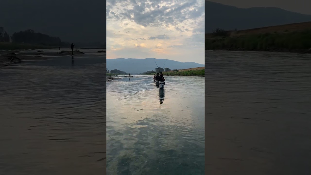Salmon fishing on the Vedder #Salmon #Coho #fishing