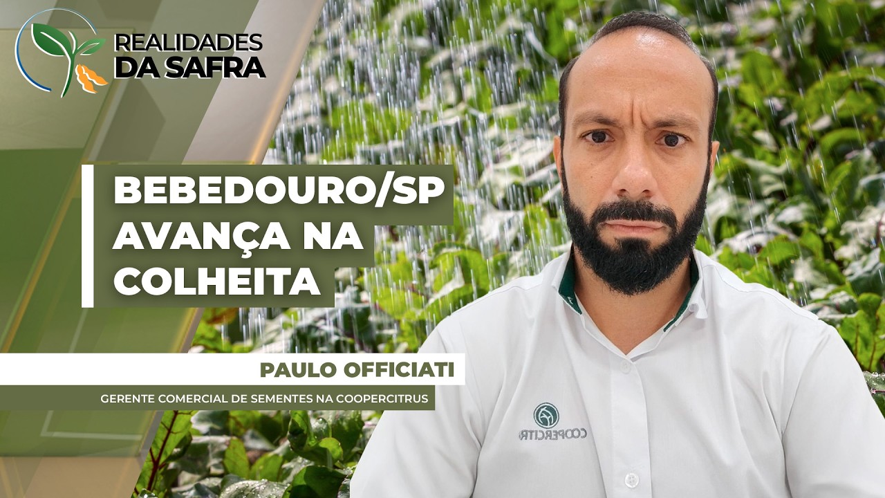 Região de Bebedouro/SP avança na colheita da soja esperando boa produtividade