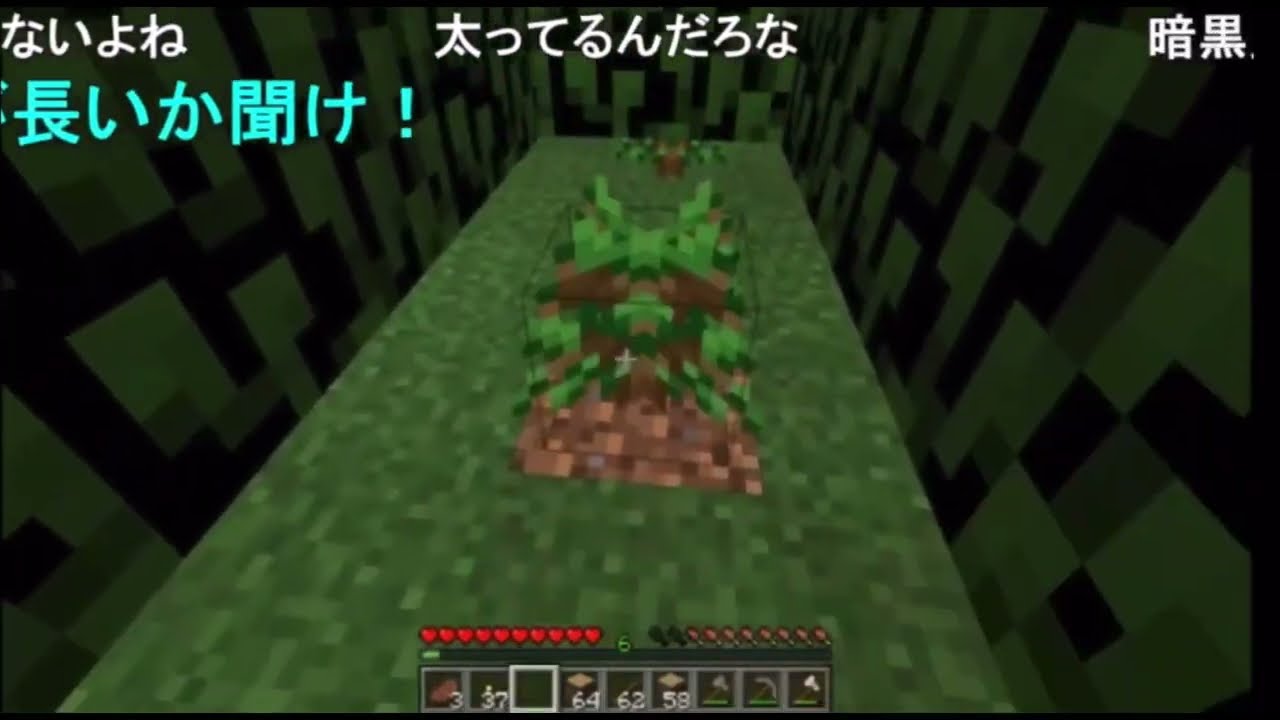 【ニコ生】ずいえき vs ぽんちゃん vs めめこ 【Minecraft】