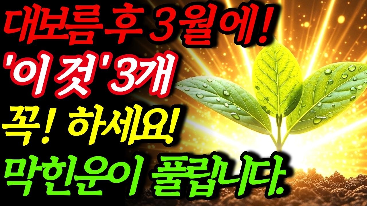 3월에 '이것' 3개 꼭 하세요 막힌운이 풀립니다. 대보름 풍수|집안운 풍수|재물운 풍수
