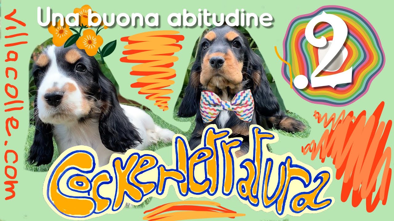 Cockerlettatura.2