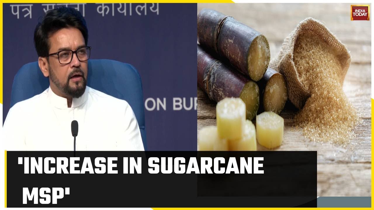Sugarcane FRP Hike: Govt Hikes Sugarcane Price By Rs 10 To Rs 315 Per Quintal For 2023-24 Season