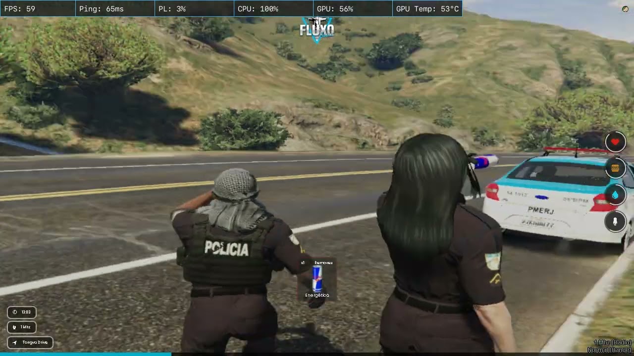 Denuncia RDM, GTA RP, Fluxo RJ