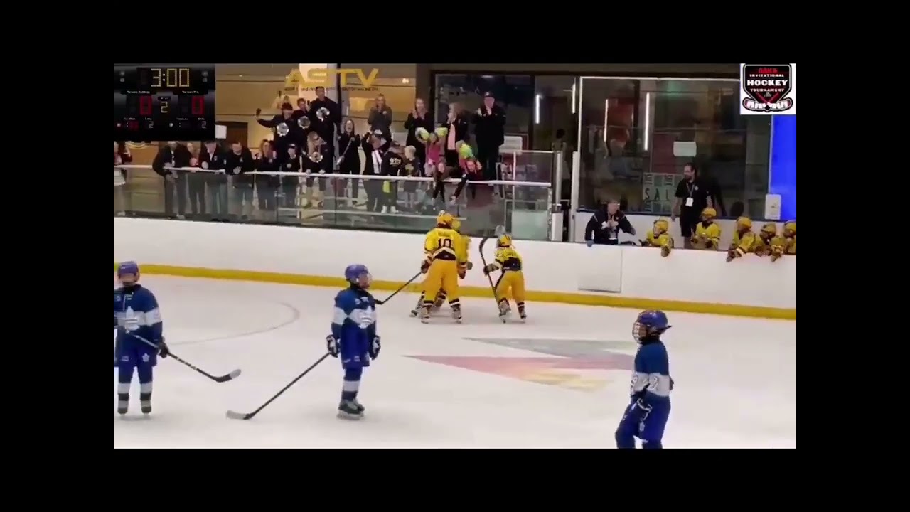 Nate DeAgazio - Goal  @Brick Tournament   2012 Division - Toronto Bulldogs versus Toronto ProHockey