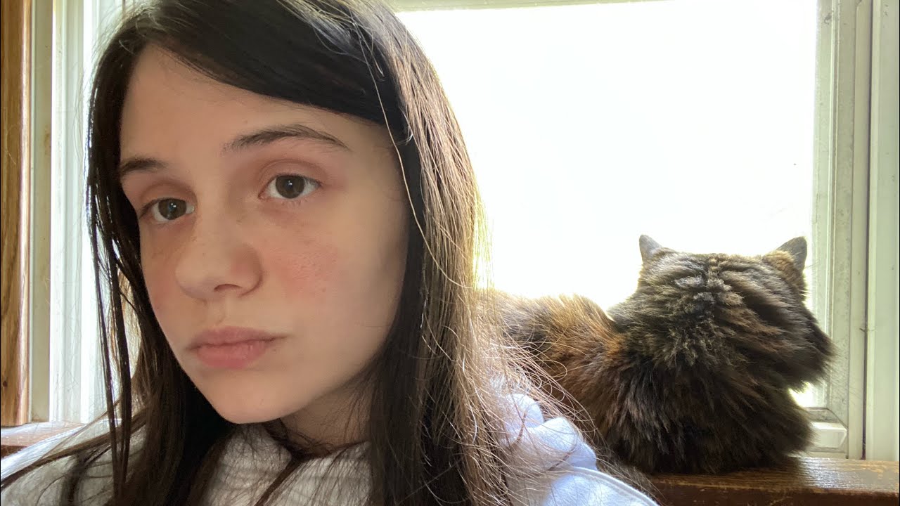 Cat Therapy