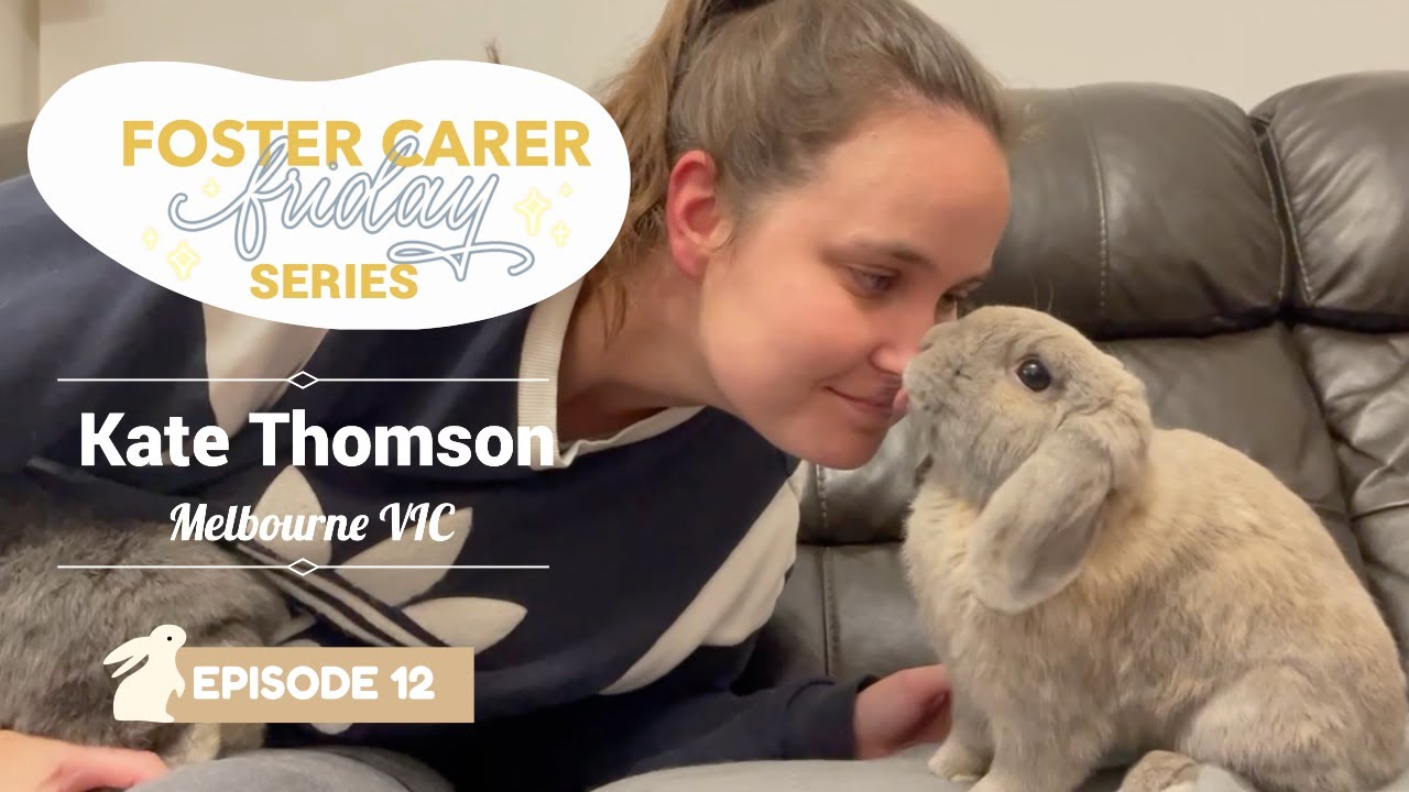 Rabbits As Support Animals with Kate Thomson | Foster Carer Friday Series | Episode 12