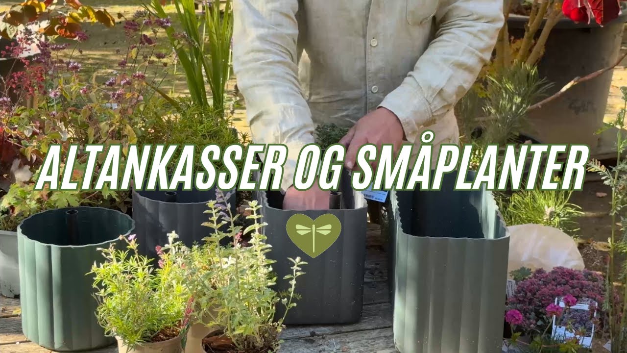 Hårdføre altankasser og småplanter | Urbangarden.dk