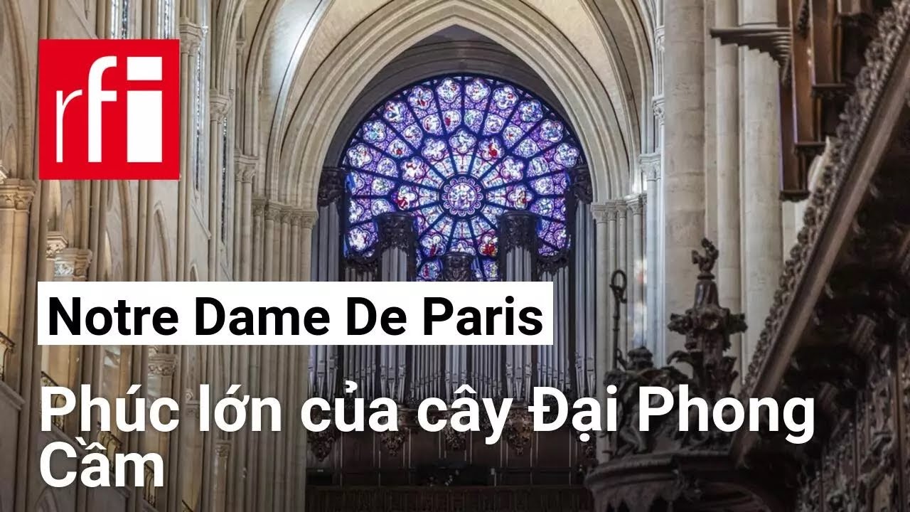 Nhà Thờ Đức Bà Paris : Phúc lớn của cây Đại Phong Cầm • RFI Tiếng Việt