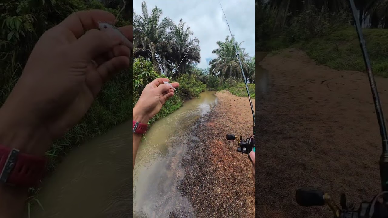 Review performance kastking valian eagle pro 