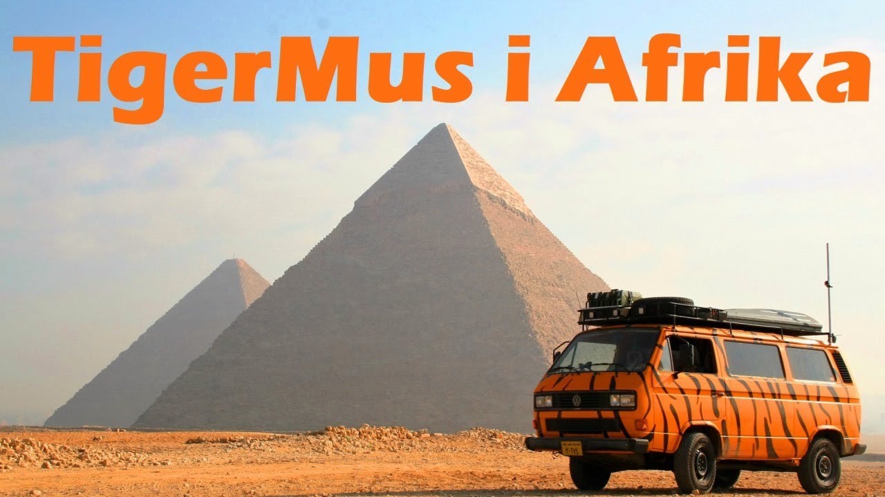 TigerMus i Afrika