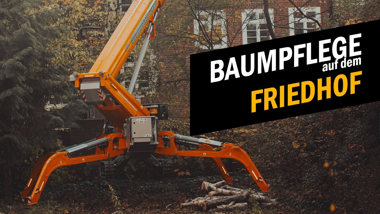 Baumpflege auf dem Friedhof!