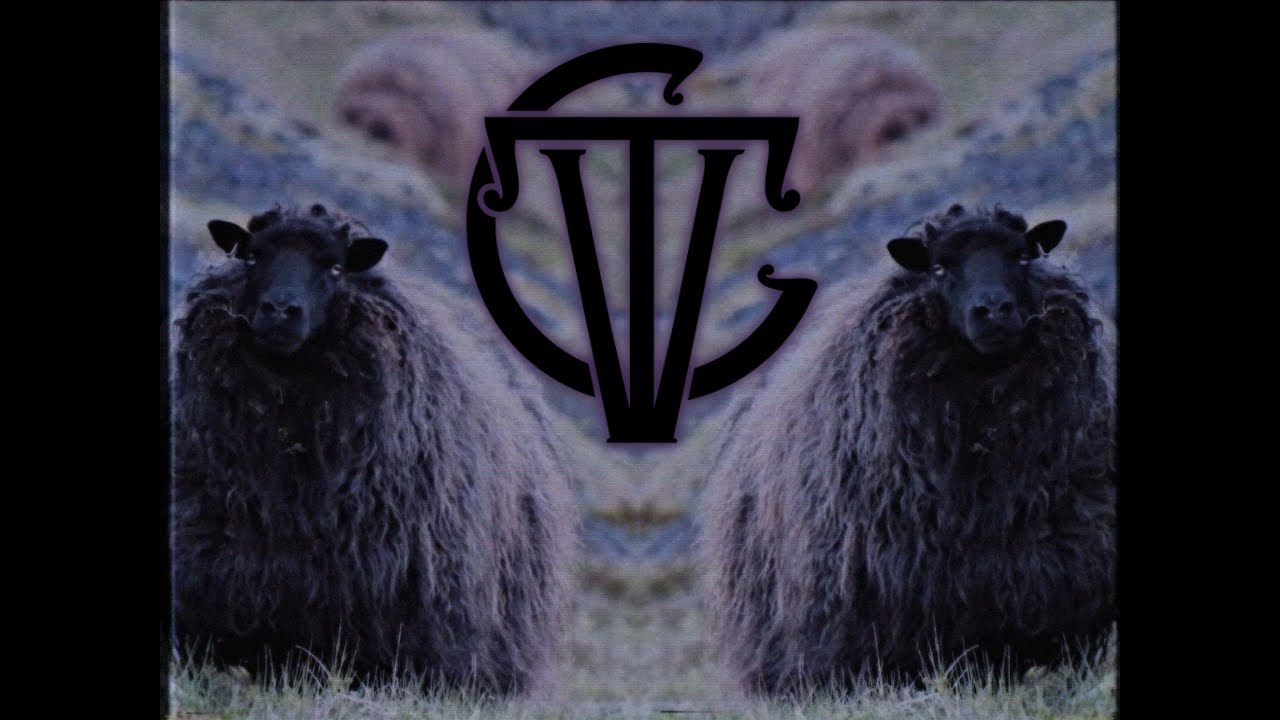 THE VINTAGE CARAVAN - Alone (Official Visualizer) | Napalm Records