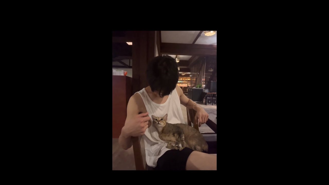 [더보이즈/주연 선우] 고양이랑 남자들의 대화 내용 (처음부터 끝까지 유죄 힐링으로 범벅인 영상)
