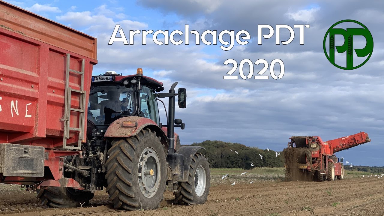 Arrachage et stockage PDT 2020