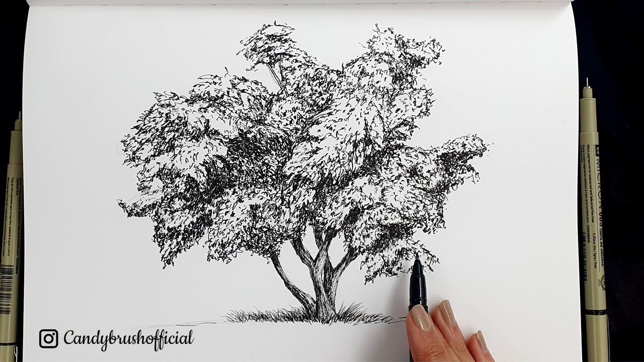 Pen & Ink Drawing #18 | How to Draw A Tree