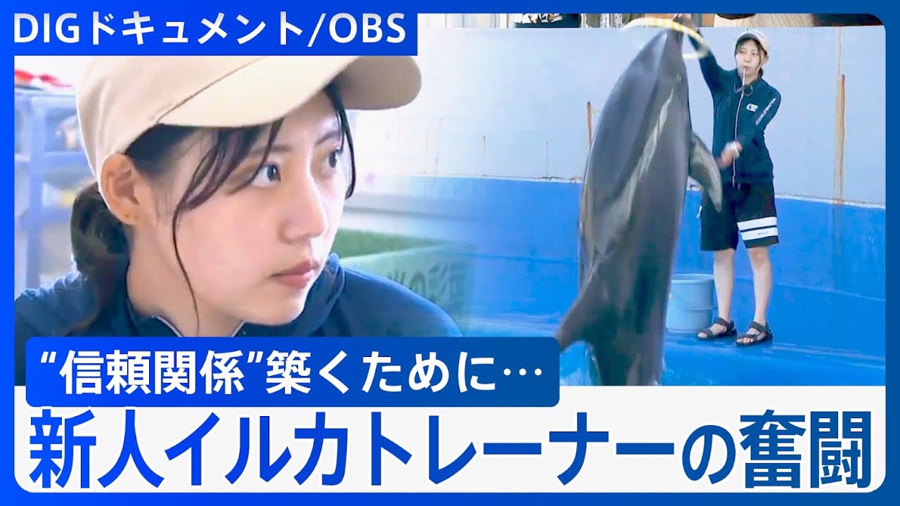 「この人なら大丈夫任せられるという人材に」イルカの新人女性トレーナー　夢をあきらめきれず転職　信頼関係を築くため「猛特訓」【DIGドキュメント×OBS】