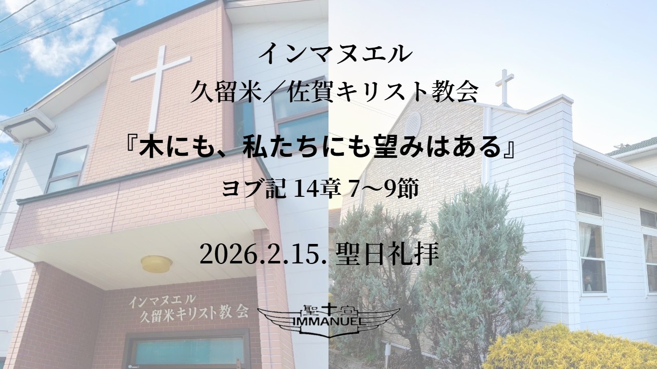 2026.02.15.聖日礼拝『木にも、私たちにも望みはある』ヨブ記 14章 7～9節