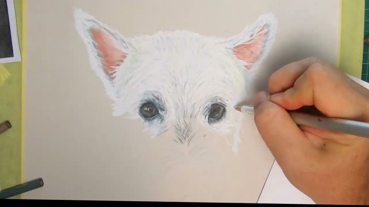 West Highland White Terrier
