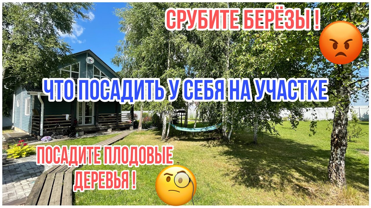 Почему не посадите плодовые деревья? Срубите берёзы. Дачный влог