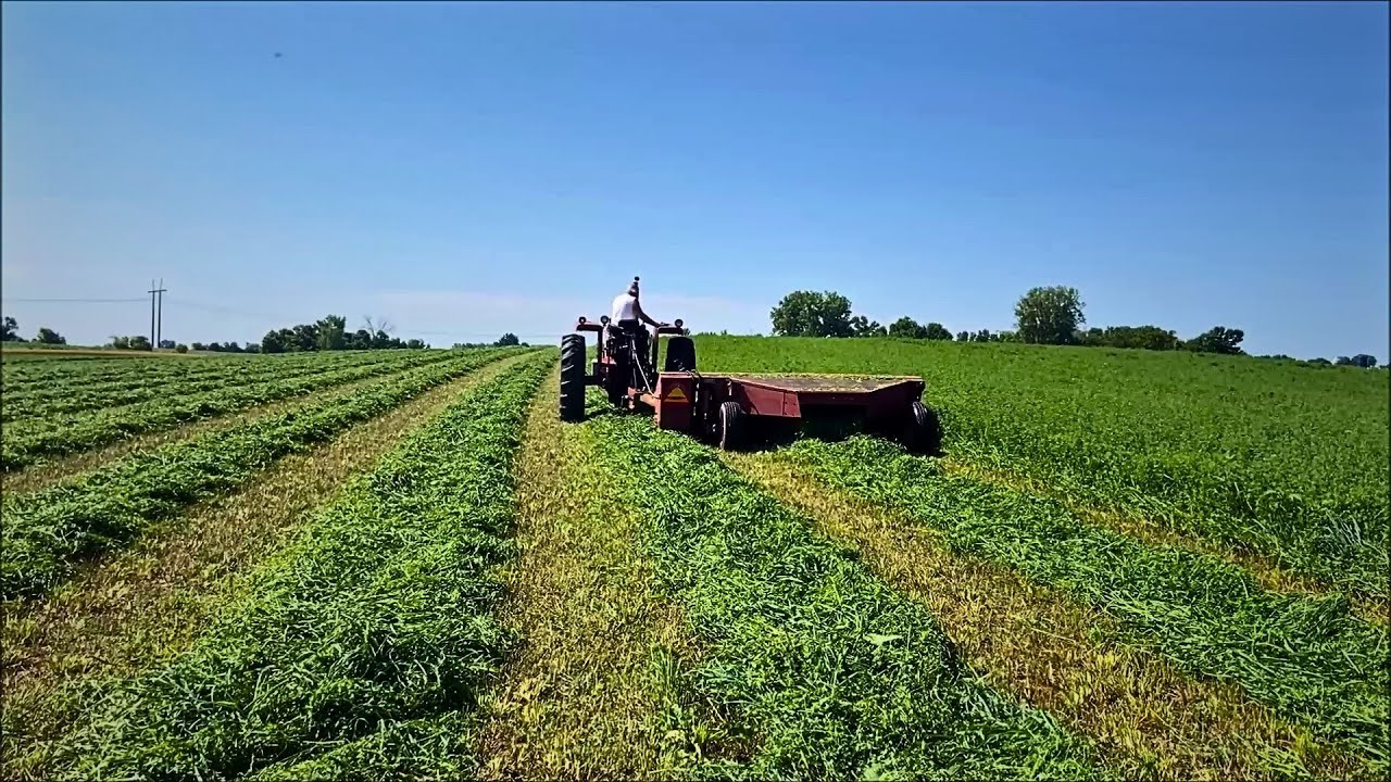 A Day on a Small Farm - Cutting Hay, Scouting, Fixing, & Selling Corn